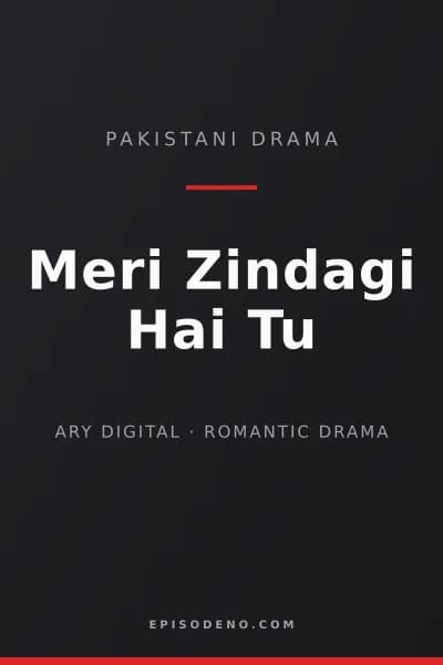 Meri Zindagi Hai Tu